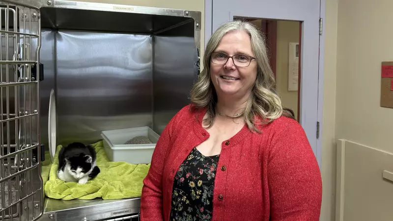 Dartmouth Animal Shelter Achieves Remarkable Milestone: Zero Pets Available for Adoption