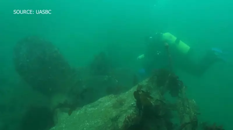 Divers Document Decay of 1913 Tugboat Wreck in Victoria's Inner Harbour