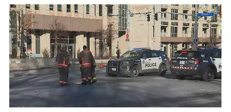 Dog Killed, Pedestrian Injured in Toronto Vehicle Collision on Jan. 2, 2026
