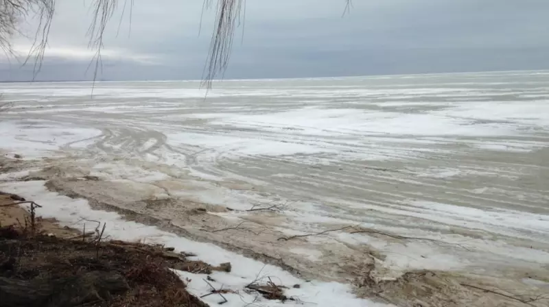 Dog Rescued from Thin Ice on Lake St. Clair in Windsor
