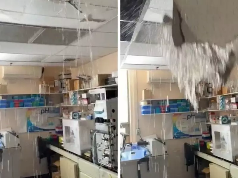 Douglas Institute Research Labs Flooded by Burst Pipes, Damaging Critical Neuroscience Equipment