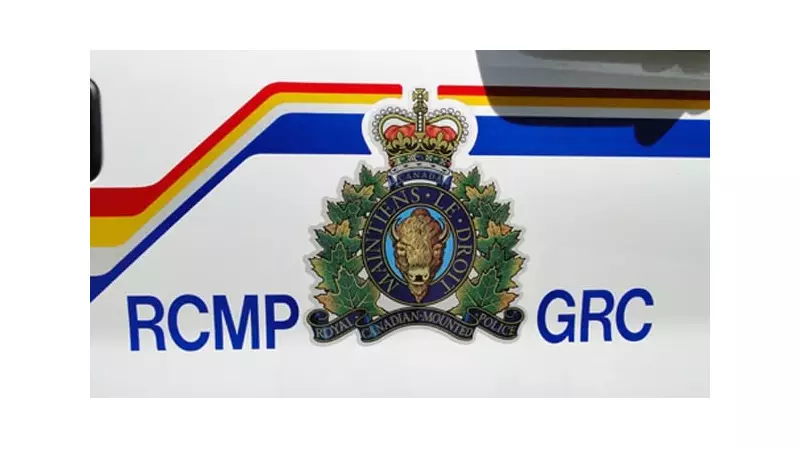 Driver Dies After Car Collides with Moose on Saskatchewan Highway