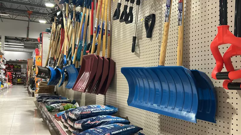 Eastern Ontario Businesses Thrive After Season's Biggest Snowstorm