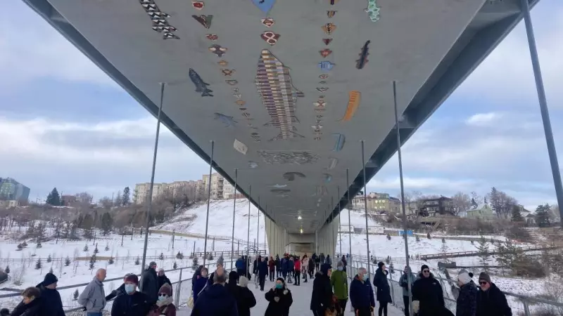 Edmonton Environmental Group Raises Alarm Over Snow Brush Bristle Pollution