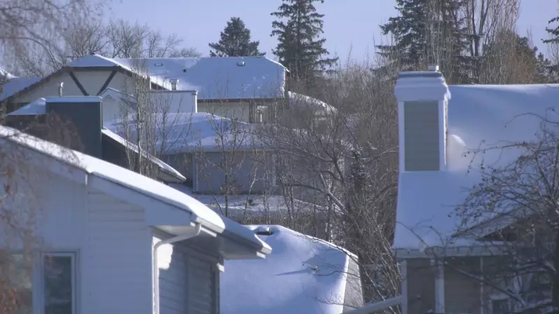 Edmonton Homeowners: Key Steps to Prepare for the Spring Thaw