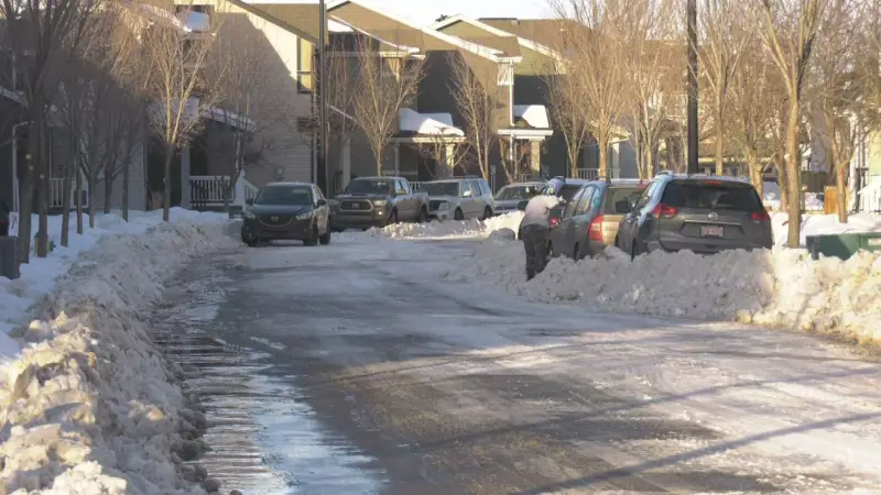 Edmonton Snow Removal Levels Inadequate for Modern City, Councillor Warns