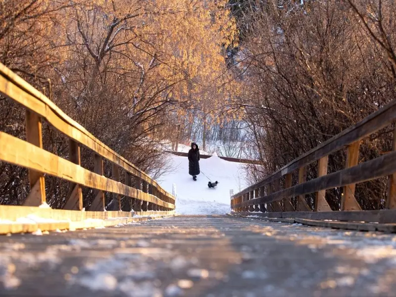 Edmonton's New River Valley Strategy Balances Ecology, Recreation, and Indigenous Stewardship