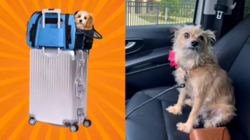 Essential Guide to International Dog Travel: Top 10 Airline-Approved Carriers