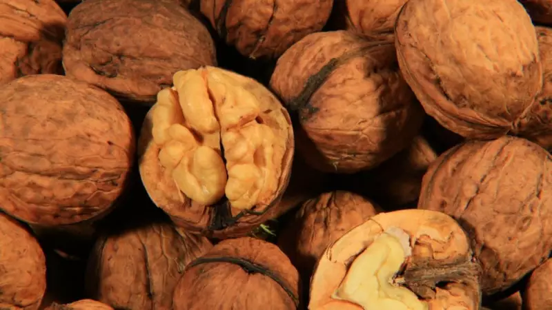Expert Reveals: A Handful of Walnuts Daily Can Lower Cholesterol
