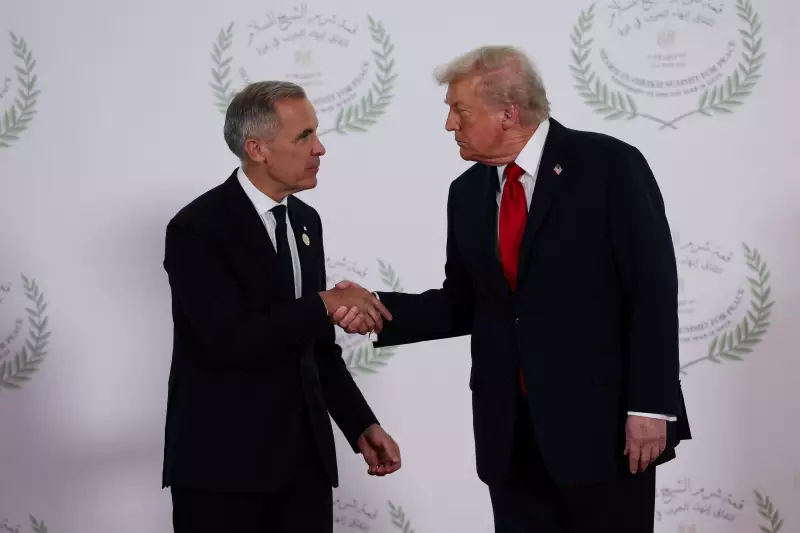 Experts Dismiss U.S. Military Action Against Canada as 'Far-Fetched'