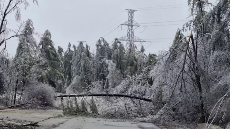 Exploding Trees in Toronto's Deep Freeze: A Scientific Explanation