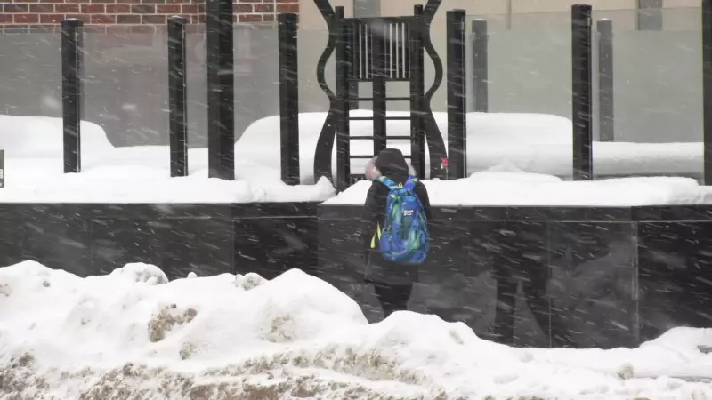 Extreme Cold Warning: Southern Ontario Braces for -30°C Wind Chill This Weekend