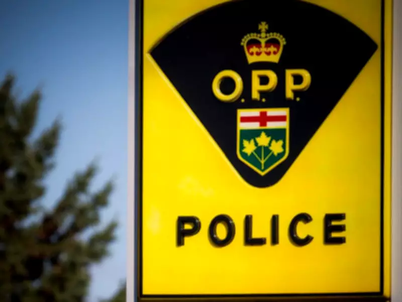 Fatal Head-On Collision on Highway 17 Claims Lives of Ottawa and Renfrew Drivers