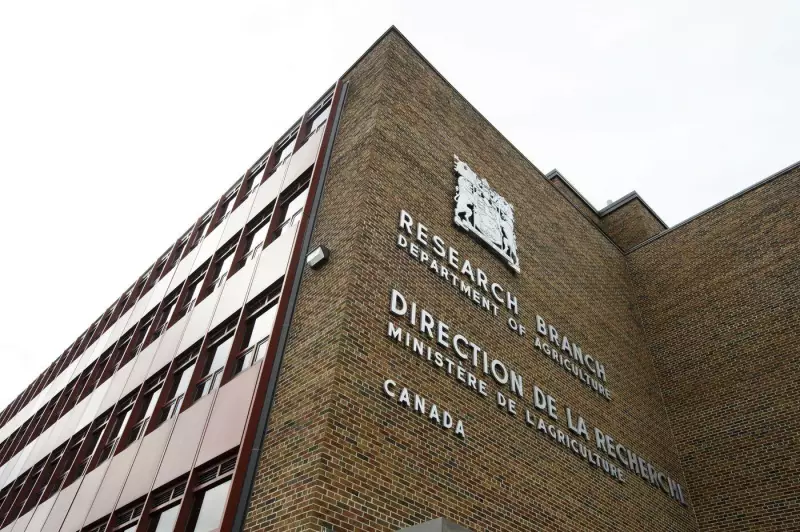 Federal Agriculture Research Faces Decades-Long Setback Due to Job Cuts, Union Warns