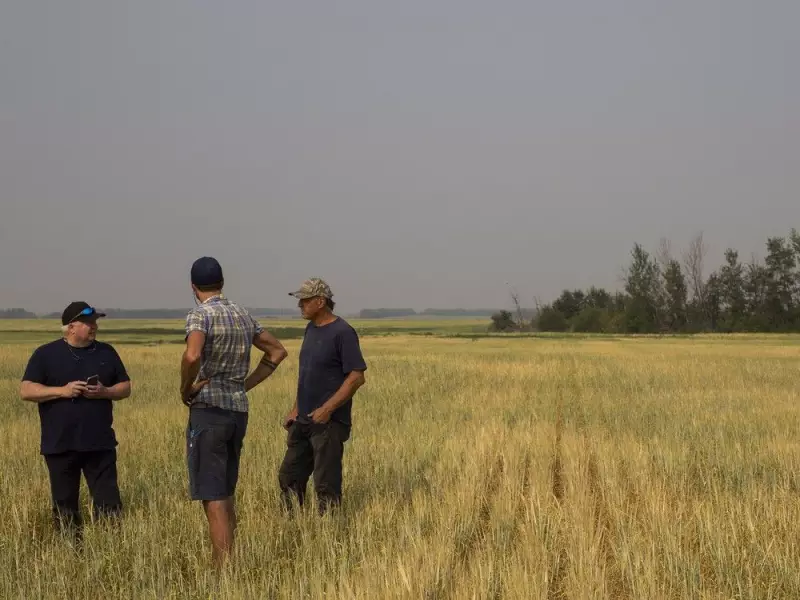 Federal and Saskatchewan Governments Invest $8.4M in Livestock Research