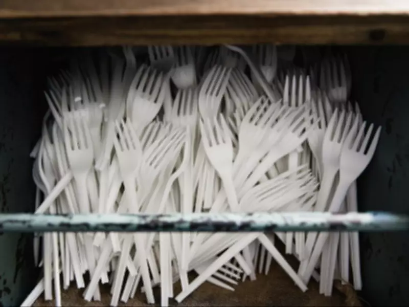 Federal Court Upholds Canada's Single-Use Plastics Ban in Landmark Ruling