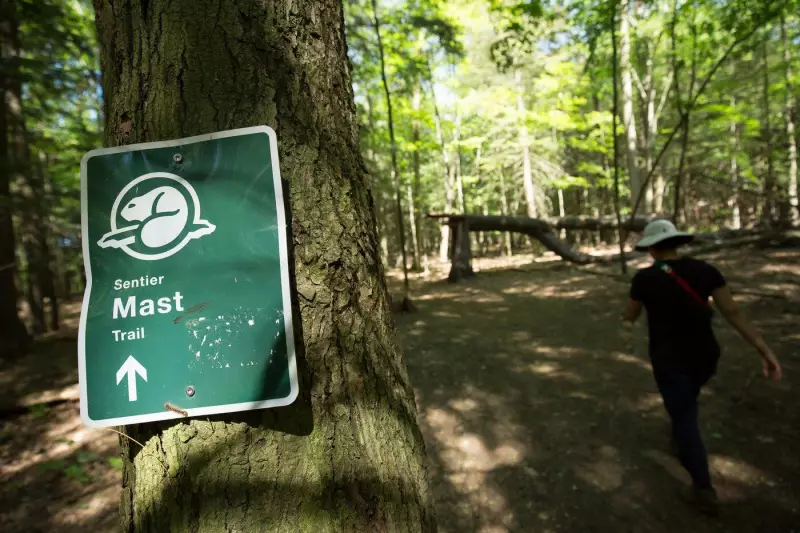 Federal Government Pledges Major Upgrades for Rouge National Urban Park and Toronto Beach