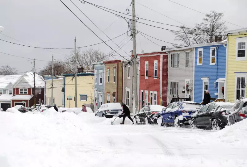 First Major Winter Storm of 2026 Paralyzes St. John's, Dumps 20 cm of Snow