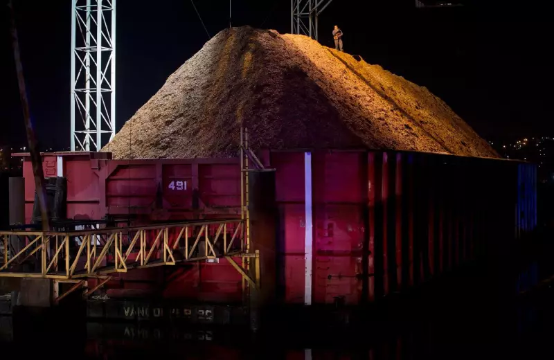 First Nations-Owned Wood Chip Plant on Vancouver Island to Cease Operations in March