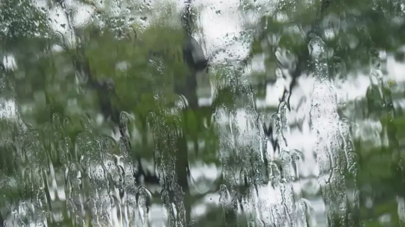 Flood Watch Issued for Vancouver Island as Atmospheric River Hits B.C. Coast