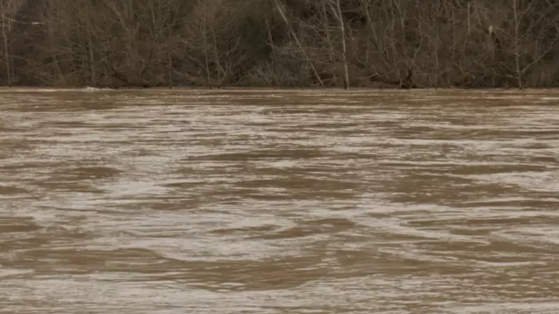 Flood Watches Issued Across Southern Ontario as Freezing Rain Threatens GTA