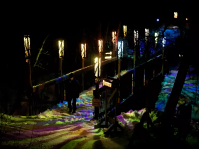 Flying Canoë Volant Festival Illuminates Edmonton's Mill Creek Ravine