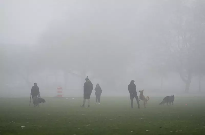 Fog Warning Extended Across Metro Vancouver and Vancouver Island