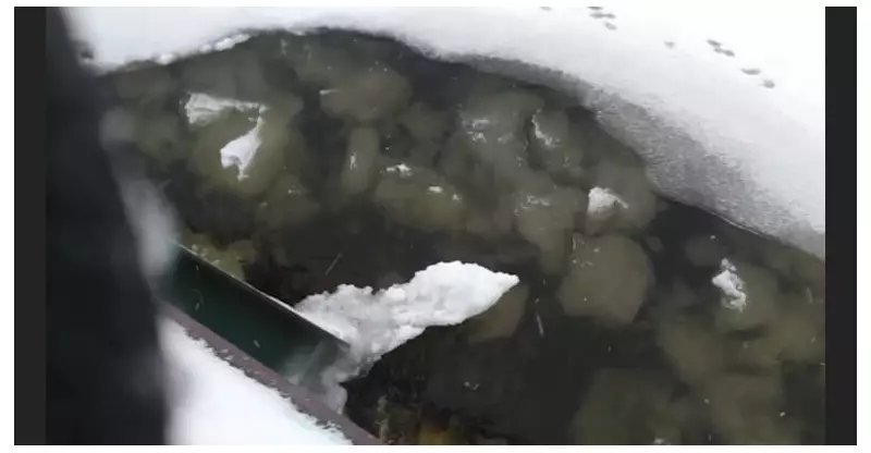 Frazil Ice Formation in Saugeen River Triggers Flood Watch for Durham Region