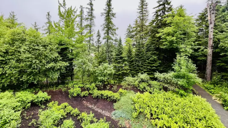 Fredericton Approves Seasonal Off-Leash Dog Trail at Killarney Lake Park