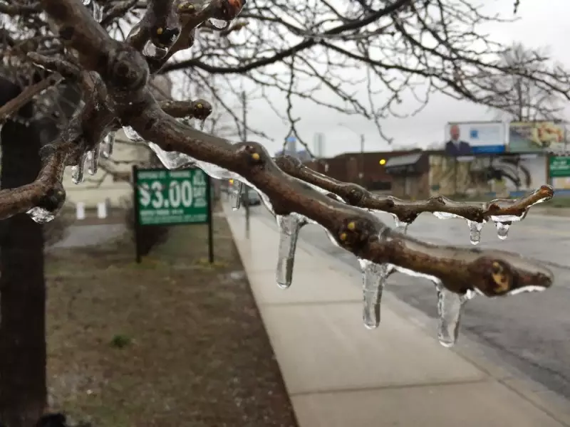 Freezing Rain Alert: Up to 2mm of Ice Expected in Windsor-Essex Tuesday