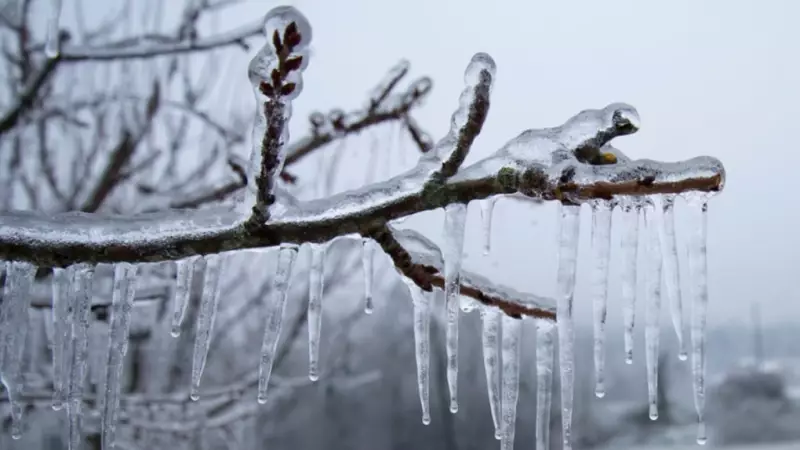 Freezing Rain and Icy Conditions Forecast for Ontario Tuesday Commute