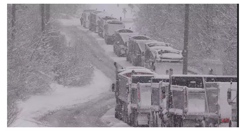 Goderich Salt Mine Works Overtime as Truckers Queue for Hours Amid Provincial Shortage