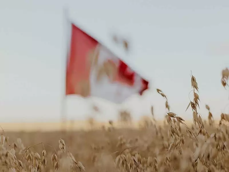 Granola Bar Decline Signals Health Trends, Price Pressures, and Farmer Challenges