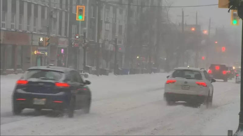 GTA Paralyzed by Major Snowstorm: Travel Chaos and Widespread Closures