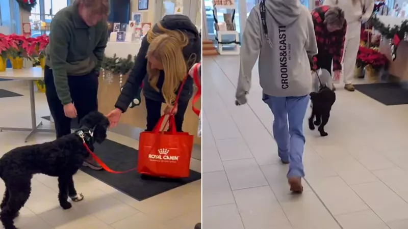 Guelph Humane Society Successfully Rehomes Parvovirus Survivor Dogs Vladdy and Kirk