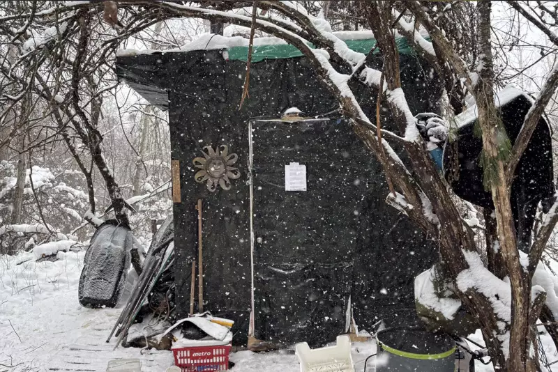 Guelph Man Resides in Illegally Constructed Tiny Home in Wooded Area