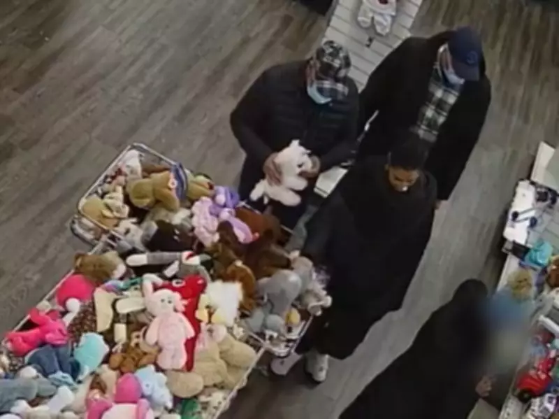 Hamilton Police Crack Down on Distraction Theft Ring Targeting Seniors