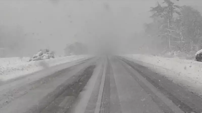Heavy Snow Squalls Batter Muskoka, Forcing Highway Closures and Creating Treacherous Conditions