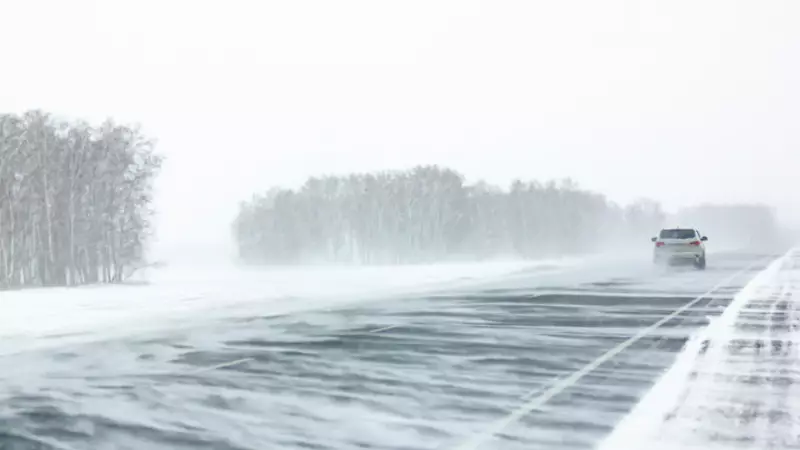 Highway 11 Chaos: Blizzard Conditions Trigger Deadly Crashes from Orillia to Muskoka