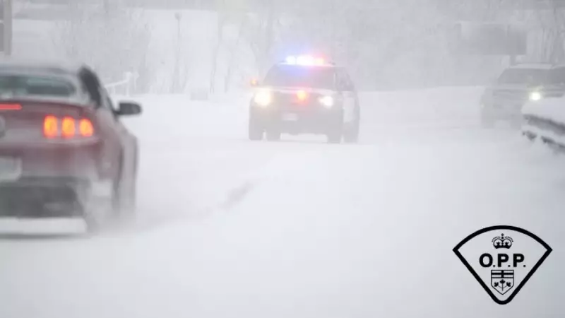 Highway 3 Reopens After Avalanche Closure on Kootenay Pass