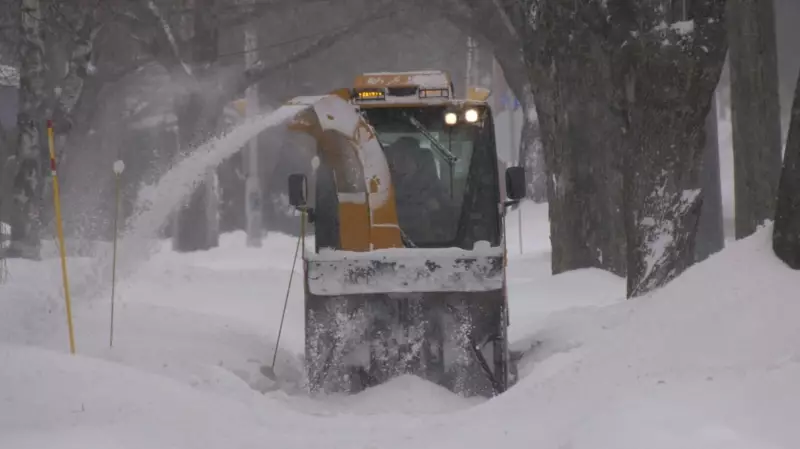 How the U.S. Polar Vortex and Winter Storm Will Impact Maritime Weather Patterns