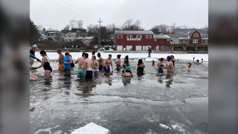 Hundreds Brave the Chill for Annual New Year's Day Polar Dip in Dartmouth, N.S.