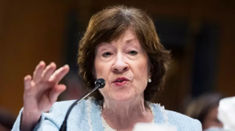 ICE Crackdown in Maine Sparks Political Firestorm for Senator Collins