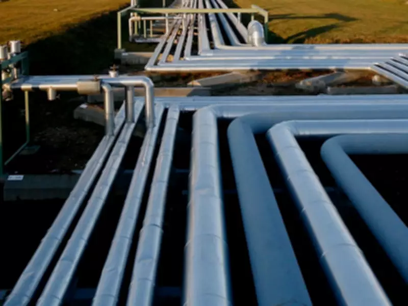 Indigenous Opposition to Alberta's Bitumen Pipeline: Legal Implications and Project Viability