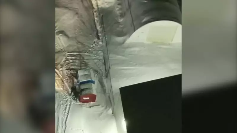 Intoxicated Man Found Unconscious in Saskatoon-Area Dumpster During Extreme Cold