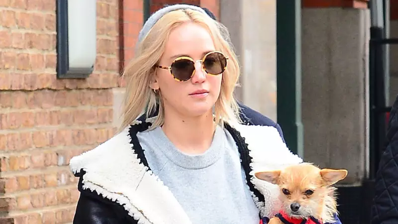 Jennifer Lawrence Rehomes Dog After Son's Bite, Sparks Parenting Debate