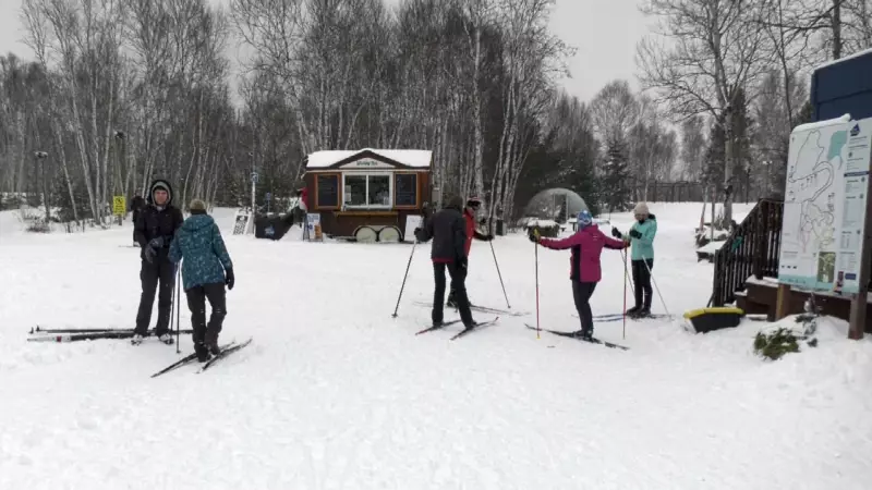 Kivi Park's Winter Seniors Program Booms, Drawing 195 Weekly Participants