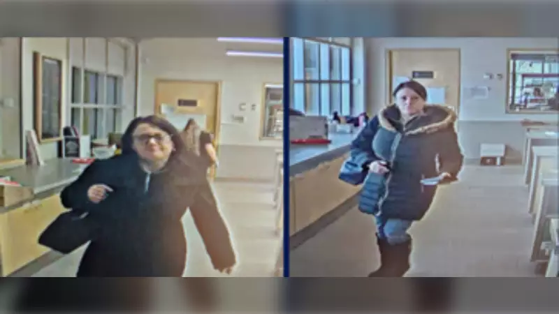 LaSalle Police Seek Suspect in Theft Case, Public Assistance Requested