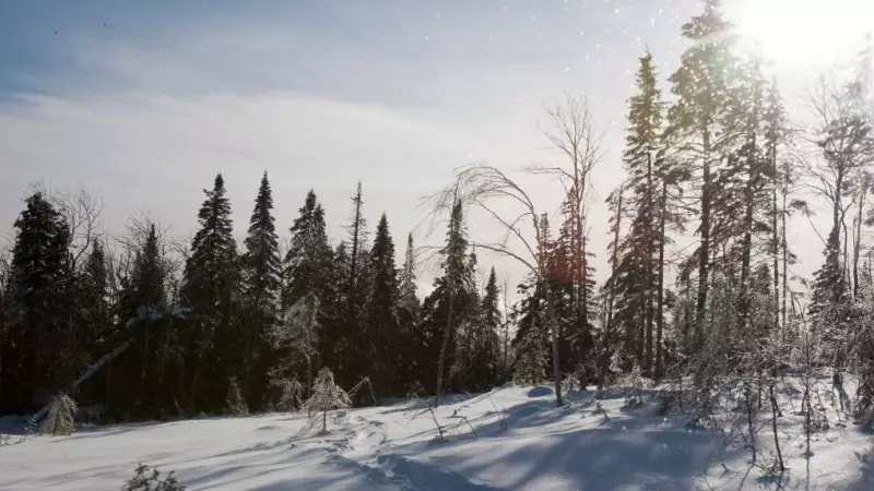 Le Massif de Charlevoix Ski Resort Announces Partial Reopening Plans