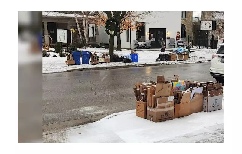 London, Ontario Small Businesses Scramble as Blue Box Recycling Rules Change